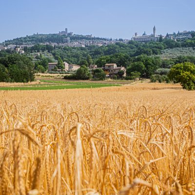 IMG_4888